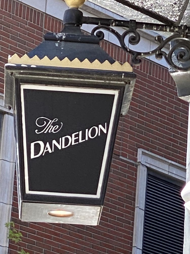 The Dandelion